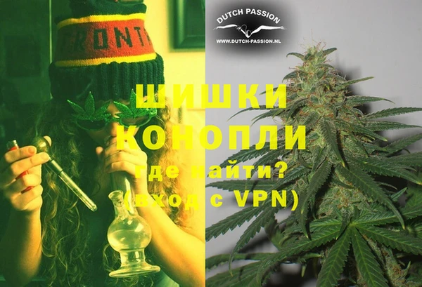 прущие грибы Лагань