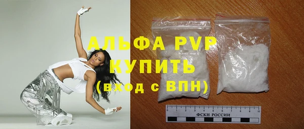 стафф Лабытнанги