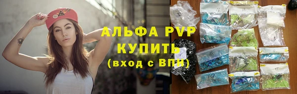 стафф Лабытнанги