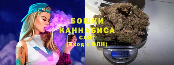 бошки Ладушкин