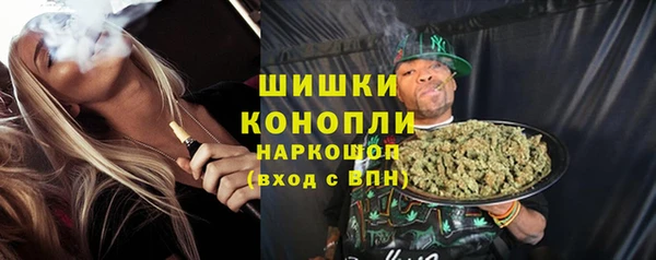 бошки Ладушкин